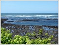 CR-IMG_0642 (2)